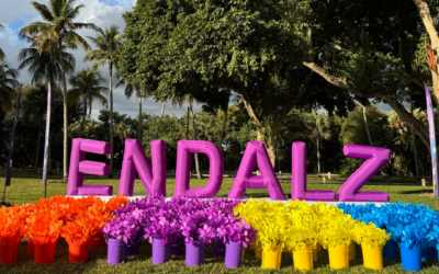 Welcome to ‘Winter’… Florida Style.