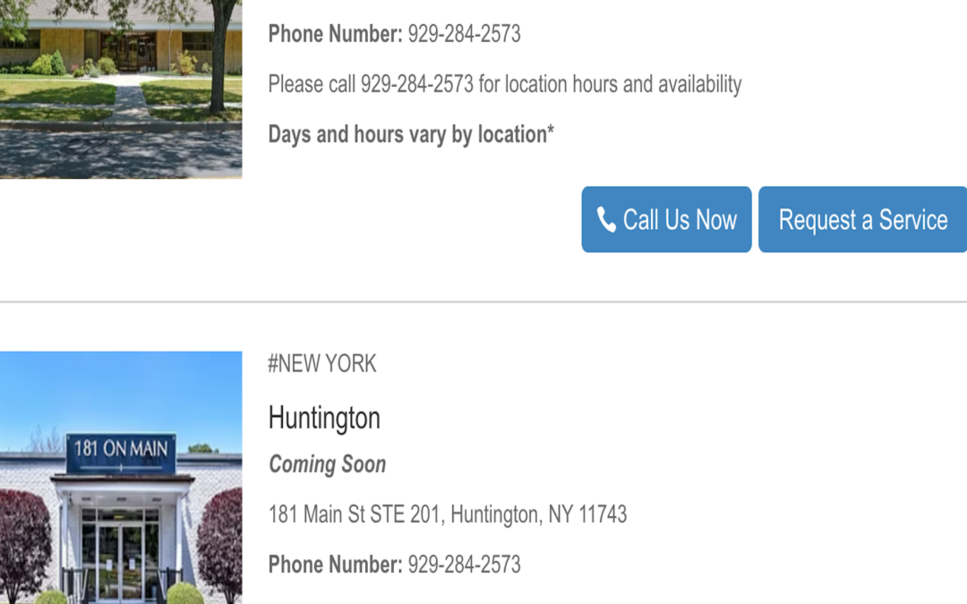 Laying Down Roots in New York